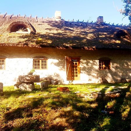 Paali Cottages Tornimae Ngoại thất bức ảnh